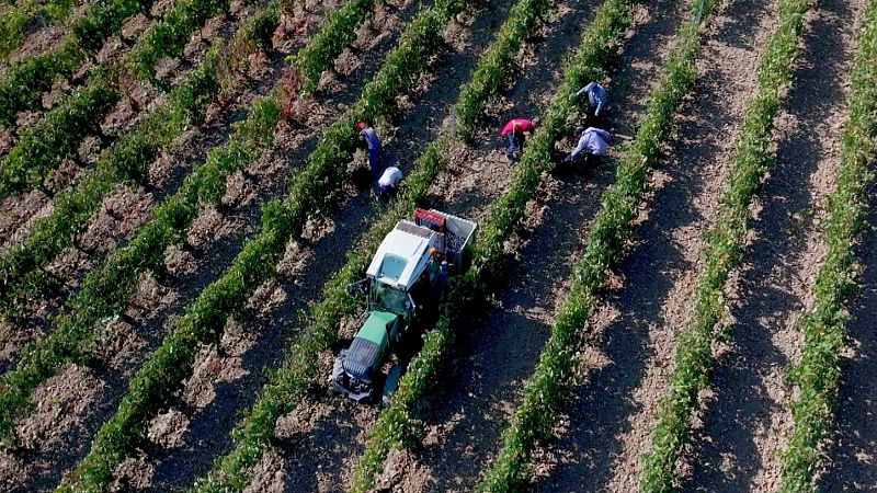 Leza brinda por las tres d�cadas de historia y vino de Rioja Alavesa