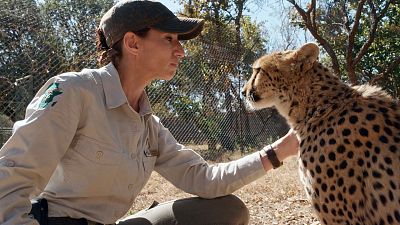 La situaci�n del guepardo en �frica a trav�s de los ojos de la Dra. Fabiola Jones