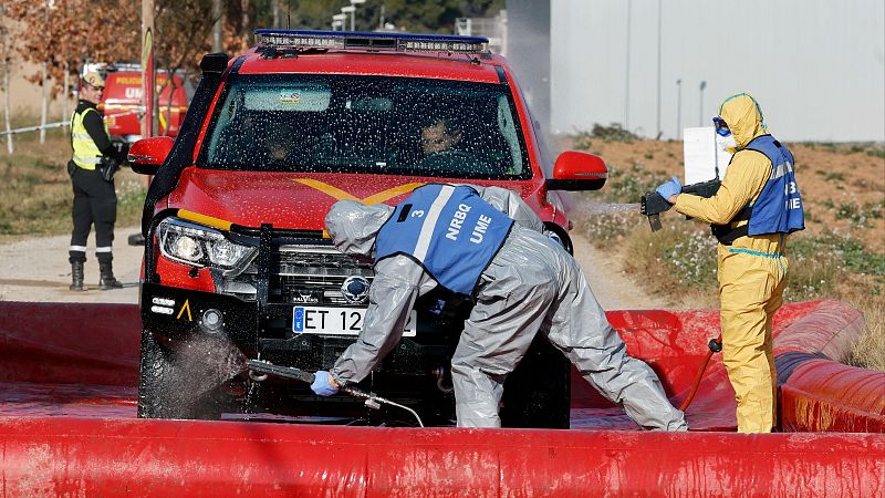Catalu�a declara la emergencia para agilizar los contratos frente al brote de peste porcina africana