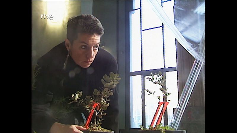 La pl�stica espa�ola de los 80 vuelve al presente en el archivo de Metr�polis