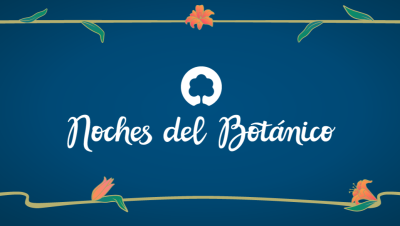 Noches del Botánico presenta el avance de cartel para su décima edición
