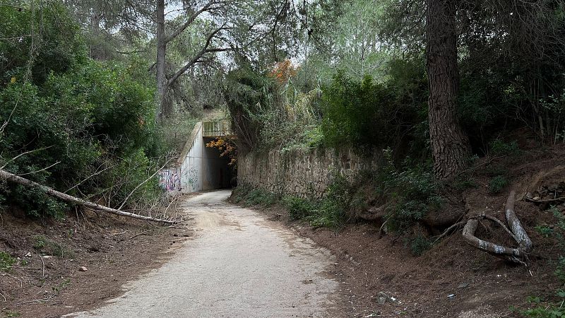 Presó provisional per a l'home detingut per la mort de la seva parella a Riudecanyes