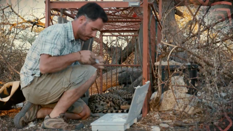 Ciencia y tecnología para la convivencia con fauna salvaje, según la Dra. Fabiola Jones