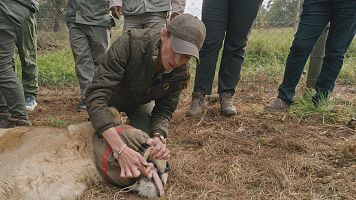 DraFabiolaJones pgm4 foto  (9)