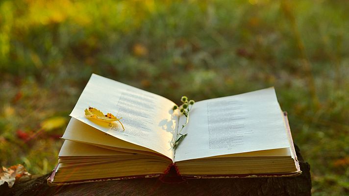 La imagen de un libro de poes�a abierto en medio del campo