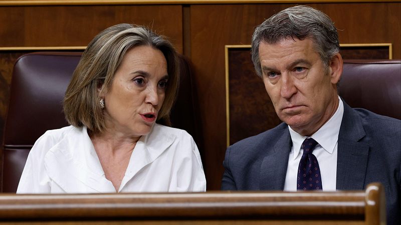 El PP cree que hay "indicios de delito" en las cuentas del PSOE y acusa a Sánchez de "institucionalizar" la corrupción