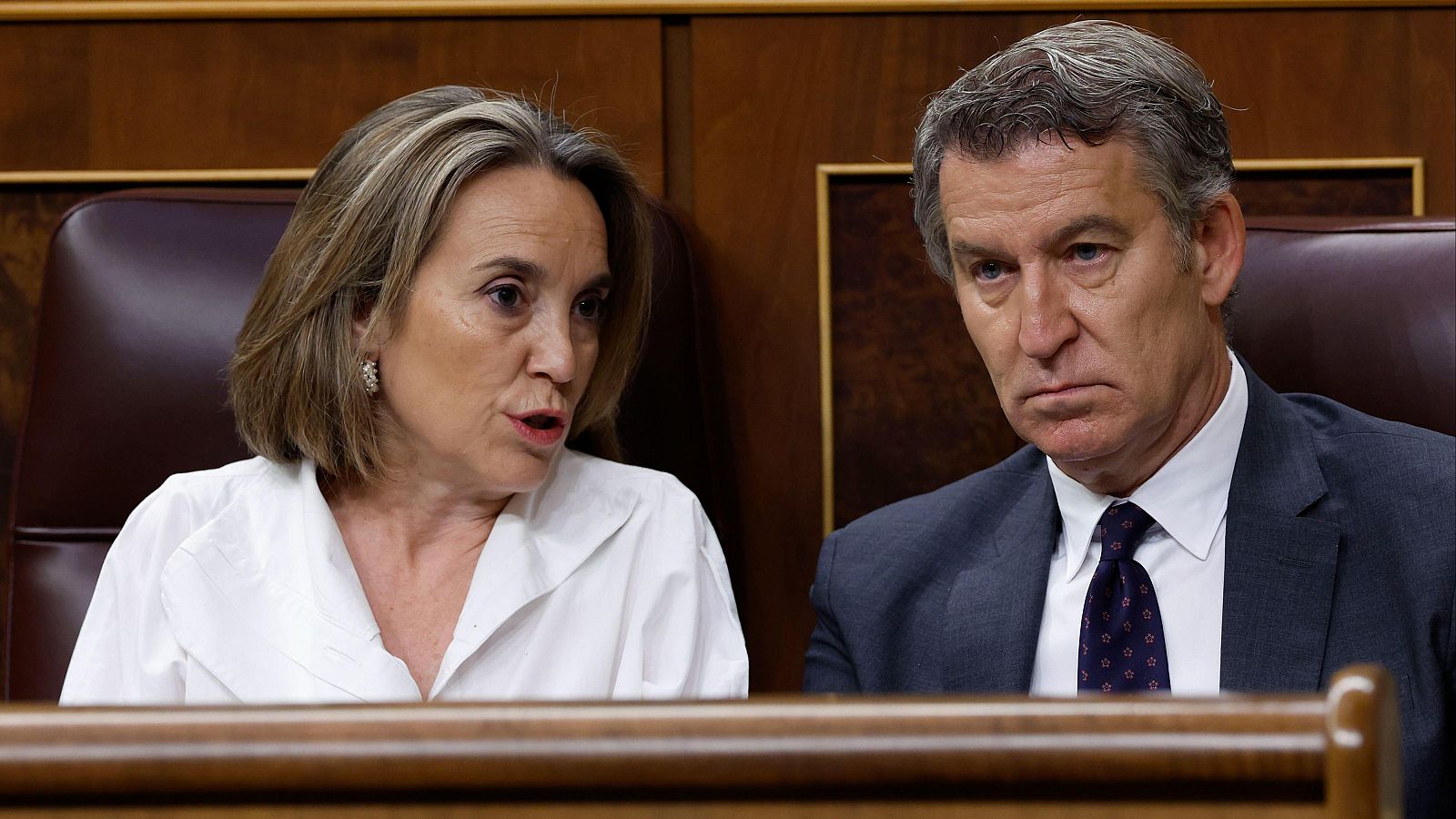 El PP cree que el juez investiga las cuentas del PSOE porque hay "demasiados indicios" - Informativo 24h | Ver