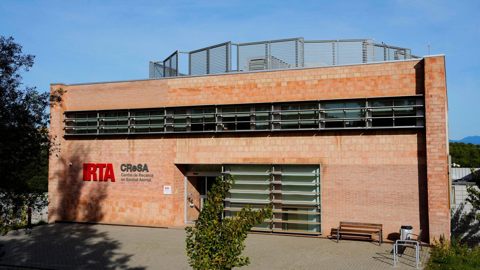 Registran el laboratorio IRTA-CReSA por el brote de peste porcina | Ver