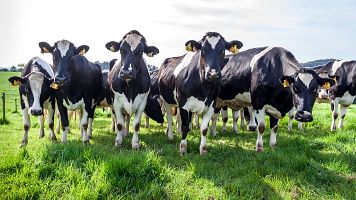 China impone aranceles de hasta el 42,7% a los l�cteos de la Uni�n Europea