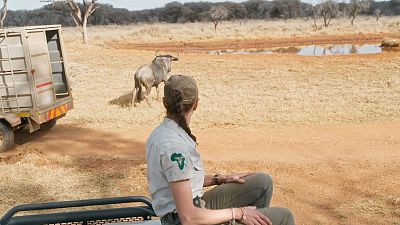 El traslado controlado de �us y la b�squeda del tibur�n blanco, este martes en 'Dra. Fabiola Jones'