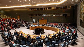 Consejo de Seguridad ONU y miembros