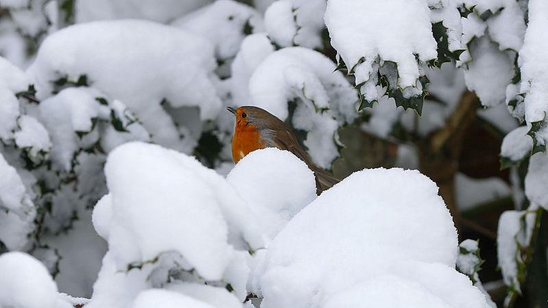 Ambiente fr�o en la semana de la Navidad