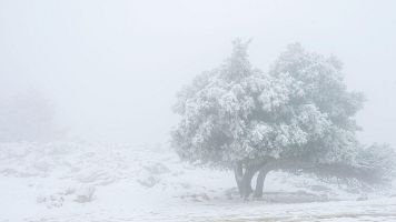 Vista de la sierra nevada en Cazorla (Ja�n)