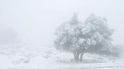 Vista de la sierra nevada en Cazorla (Ja�n)