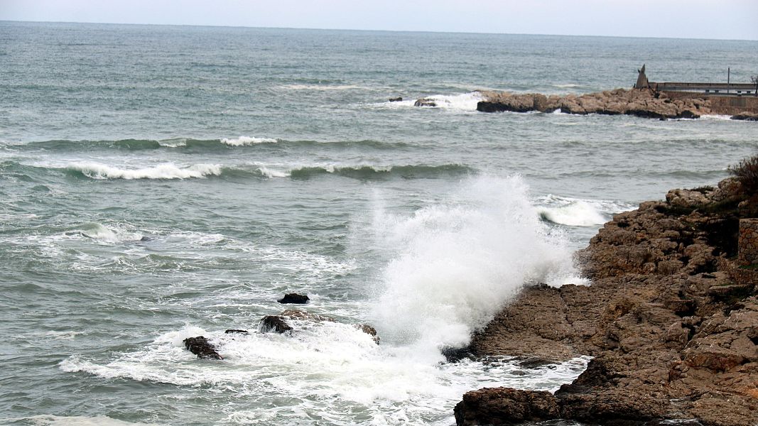 Mar esbravat a l'Escala | ACN