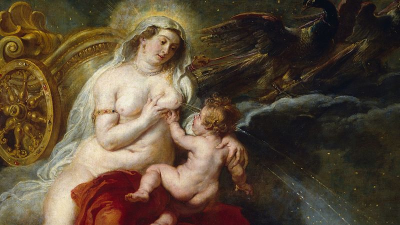 El curioso mamifero que nace de un huevo, tetas y Vía Láctea en 'Sapiensantes'