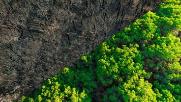 Los fen�menos clim�ticos extremos, que han aumentado en los �ltimos a�os, ponen al l�mite la capacidad de adaptaci�n