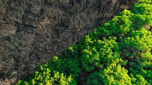 Los fen�menos clim�ticos extremos, que han aumentado en los �ltimos a�os, ponen al l�mite la capacidad de adaptaci�n