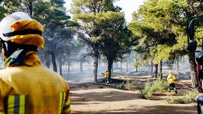 La Junta de Castilla y Le�n convierte 837 puestos del operativo de incendios de fijos-discontinuos en fijos