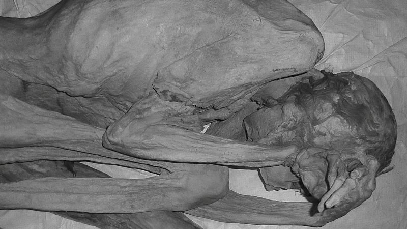 Descubren los primeros tatuajes figurativos de la historia en dos momias del British Museum