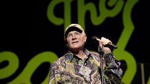 Mike Love (The Beach Boys)