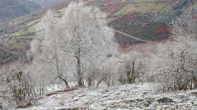 Glaçada històrica el dia de Reis: fins a -12 ºC a Das i Prades