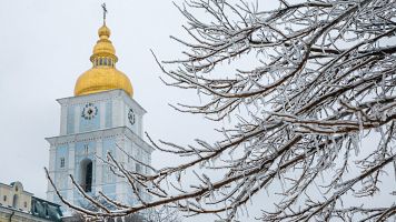 Un �rbol cubierto de hielo en Kiev