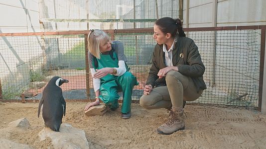 Dra Fabiola Jones Cap 5 (8)