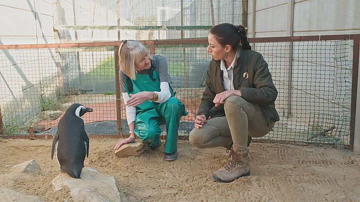 Dra Fabiola Jones Cap 5 (8)