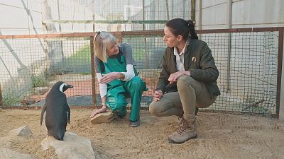 La 'Dra. Fabiola Jones' vuelve a La 1 con doble entrega