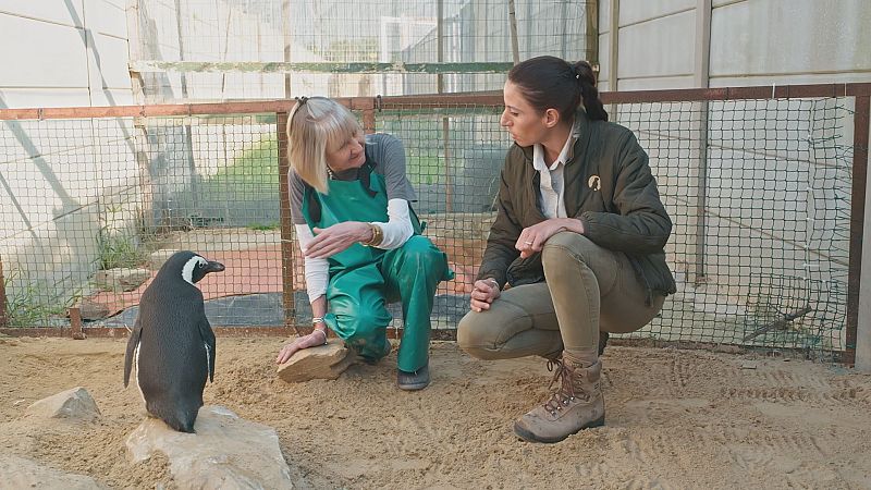 La 'Dra. Fabiola Jones' vuelve a La 1 con doble entrega