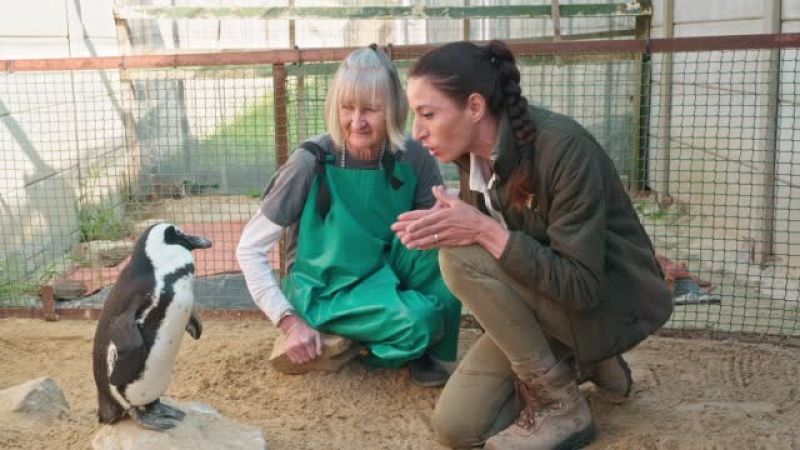 Investigar para conservar: Dra. Fabiola Jones muestra cómo la ciencia protege la vida salvaje