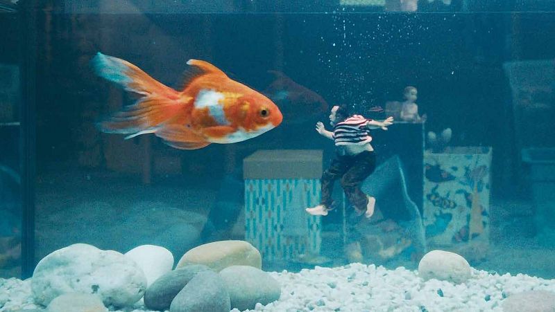 Fotograma de 'El hombre menguante'