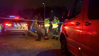 Detenido un hombre por apu�alar en el cuello a su expareja en un parque de Madrid