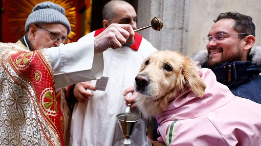 San Ant�n 2026: las mejores im�genes de la bendici�n a los animales