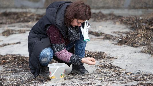 La justicia archiva la causa de los p�lets.