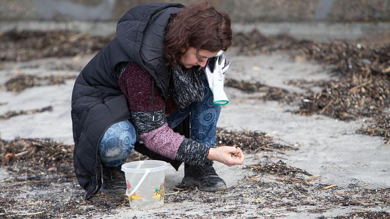 La justicia archiva la causa de los p�lets.