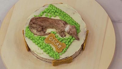 Receta de carrot cake para perros de 'Top Chef: dulces y famosos'