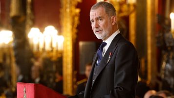 El rey Felipe VI durante su intervenci�n en la tradicional recepci�n de los reyes al cuerpo diplom�tico acreditado en Espa�a
