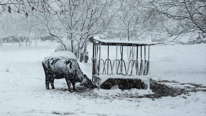 La borrasca Ingrid cubre de Blanco media España: las mejores imágenes