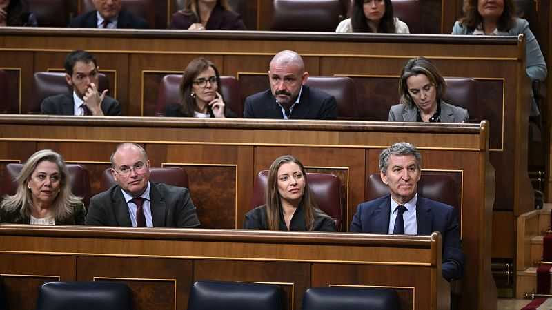 El PP avanza que no apoyará el decreto 'ómnibus' y exige al Gobierno uno en el que "solo se revaloricen las pensiones"