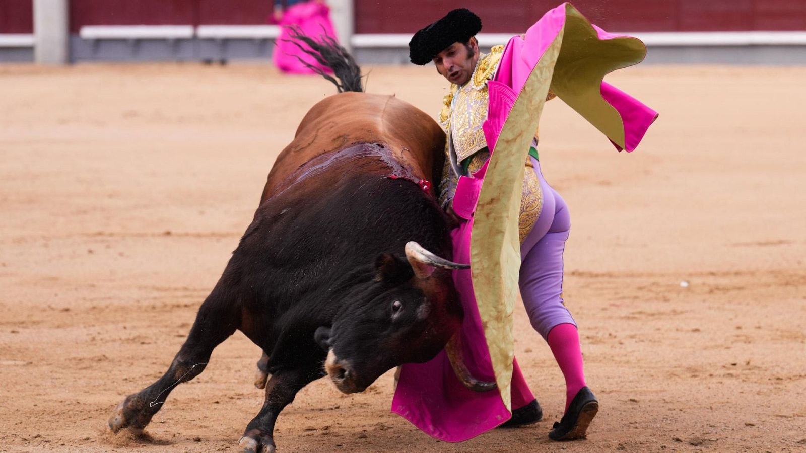 El Gobierno quiere prohibir la entrada de menores en los toros
