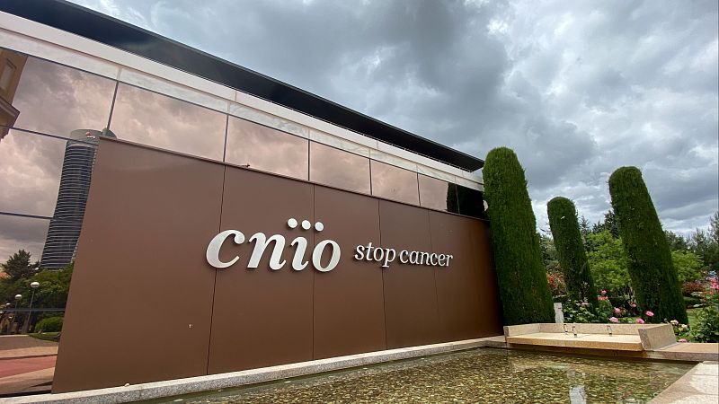 Investigadores del CNIO logran eliminar en ratones los tumores más comunes en el cáncer de páncreas