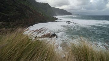 Encuentran en Tenerife el cuerpo de una mujer que desapareci� arrastrada por el agua
