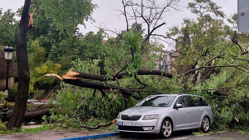 Una nueva borrasca con fuertes rachas de viento deja cinco heridos en Andalucía