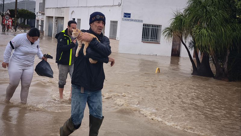 Resumen del temporal en Andaluc�a 4 febrero