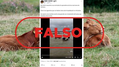 No es una evacuaci�n de ganado en Do�ana por la borrasca Leonardo, es un v�deo de 2018