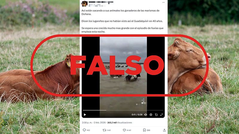 No es una evacuaci�n de ganado en Do�ana por la borrasca Leonardo, es un v�deo de 2018