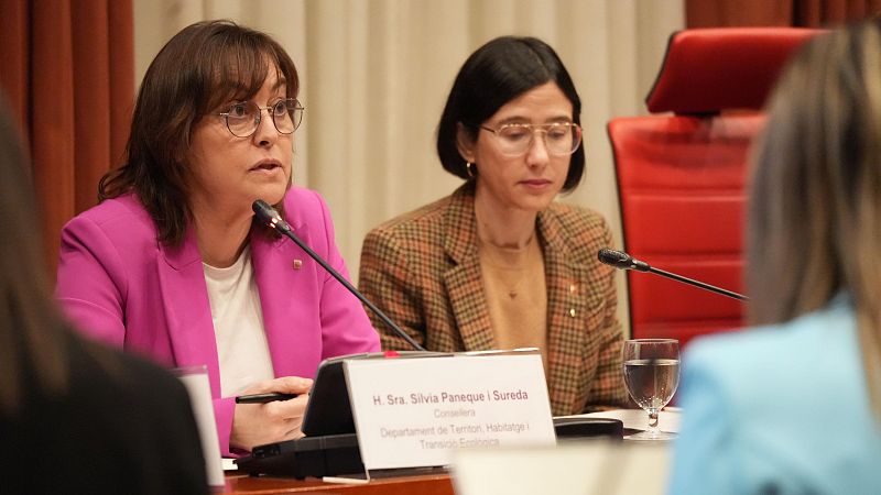 Paneque treu pit al Parlament de la gestió de la crisi ferroviaria