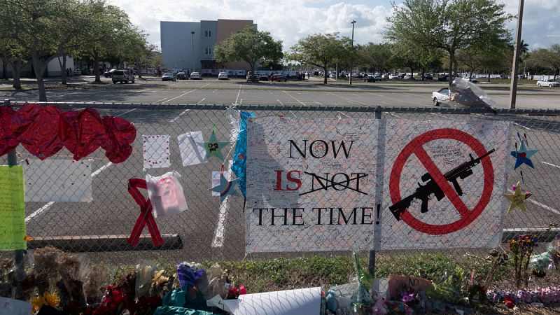 La Asociación del Rifle demanda a Florida por la ley que restringe la venta de armas